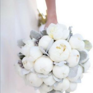 Meet your Posher, Tethiani